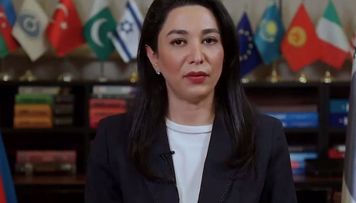 ombudsman-beynelxalq-ictimaiyyete-muraciet-edib